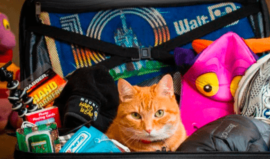 Что взять с собой в Египет, какие вещи обязательно должны быть в чемодане туриста